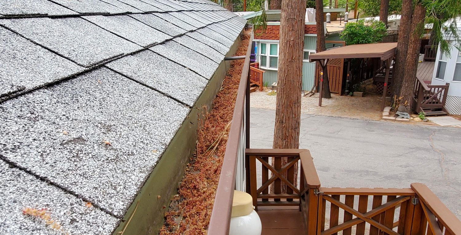 Pine Needles in Gutter