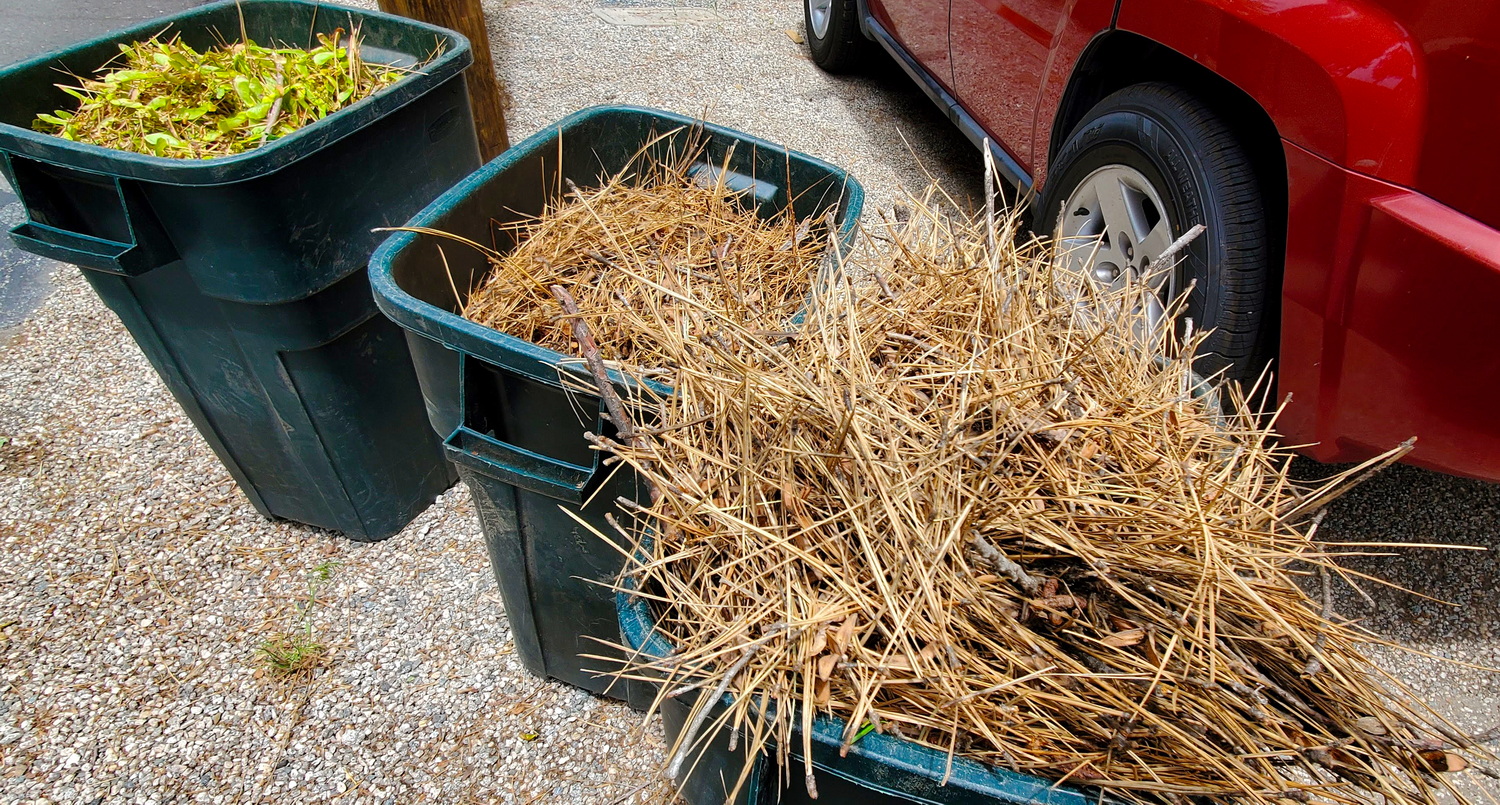 Pine Needles in Trash Cans